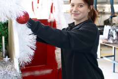 Playford Christmas Sleigh